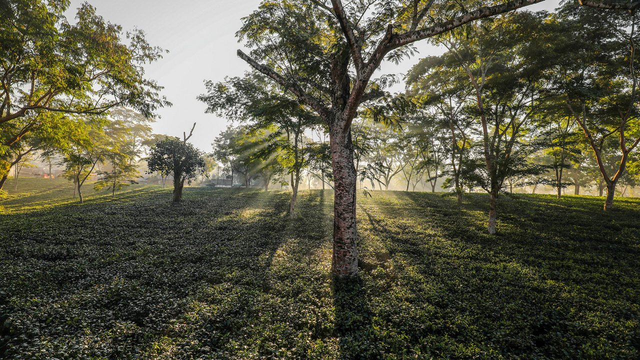 Agartala tripura Tarmac